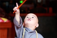 赵鸿桠名字打分测试|2024用鸿字和桠字取