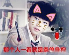 谢水波名字打分测试|2024用水字和波字取