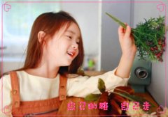 周琬晴名字打分测试|2024用琬字和晴字取