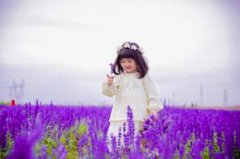 赵均芳名字打分测试|2024用均字和芳字取