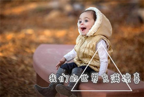 臧金凤名字打分测试|2024用金字和凤字取名怎么样